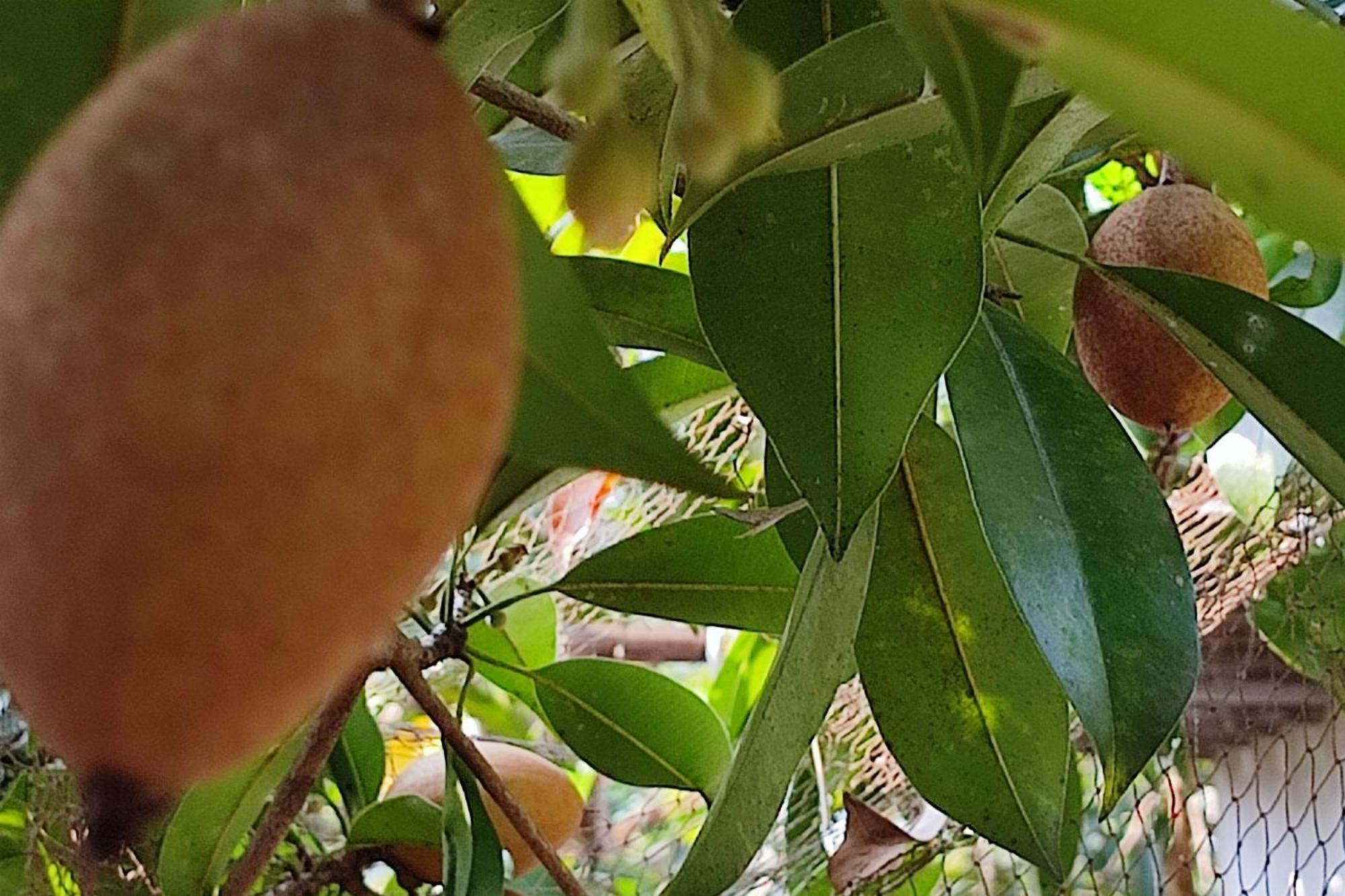Vivaresidence Homestay Alappuzha المظهر الخارجي الصورة